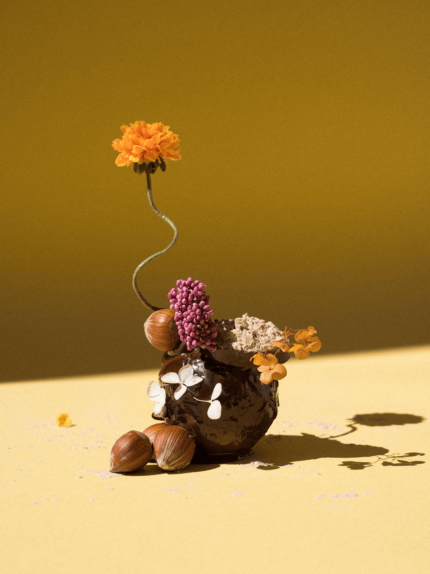 Suprey dark ceramic vase with marigold on spiral stem, pink berries, hazelnuts, and dried flowers on a warm yellow surface.