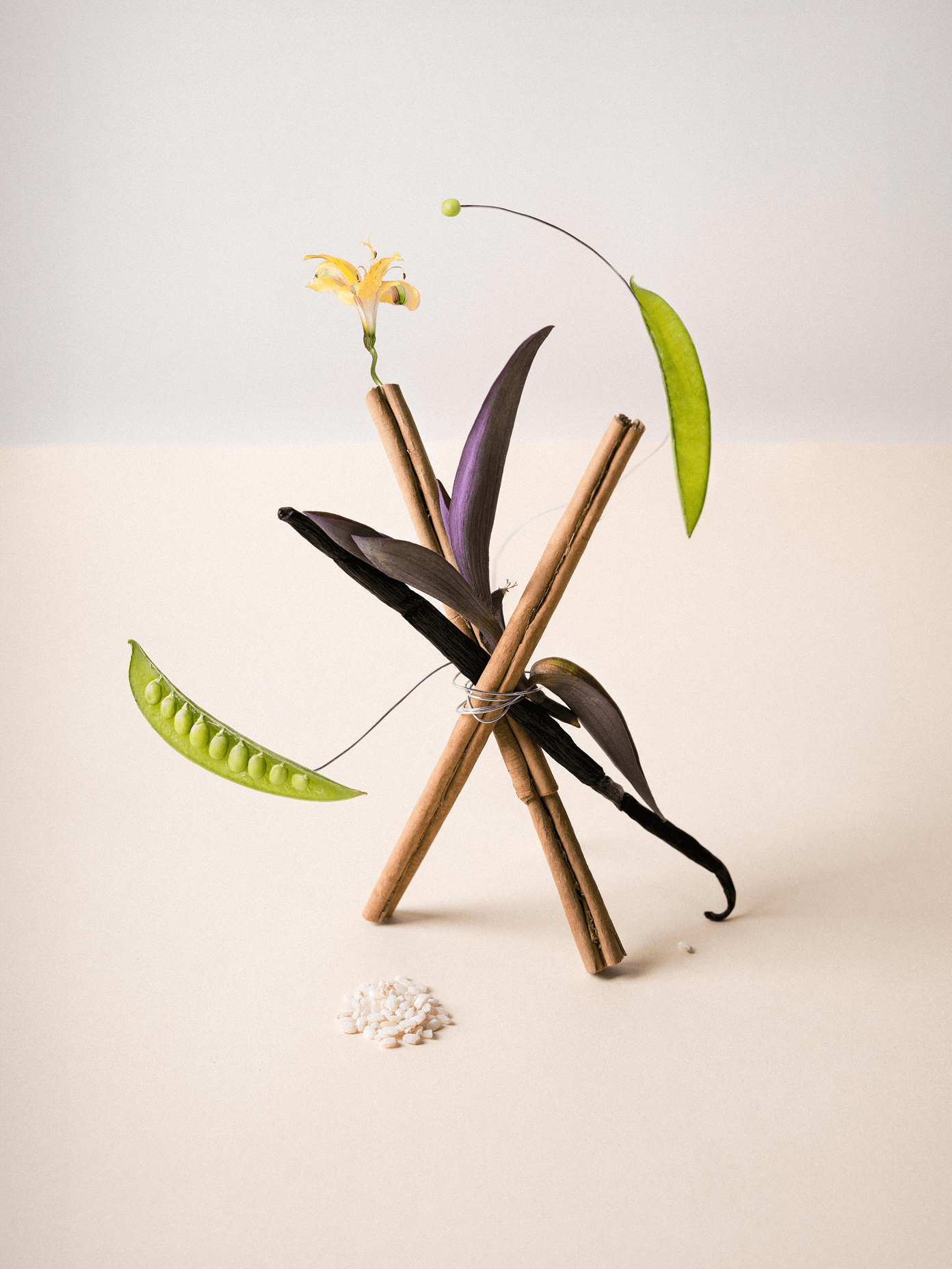Suprey brand still life: cinnamon sticks, vanilla pod, pea shoots, purple leaves, and a yellow flower arranged as sculptural ikebana.
