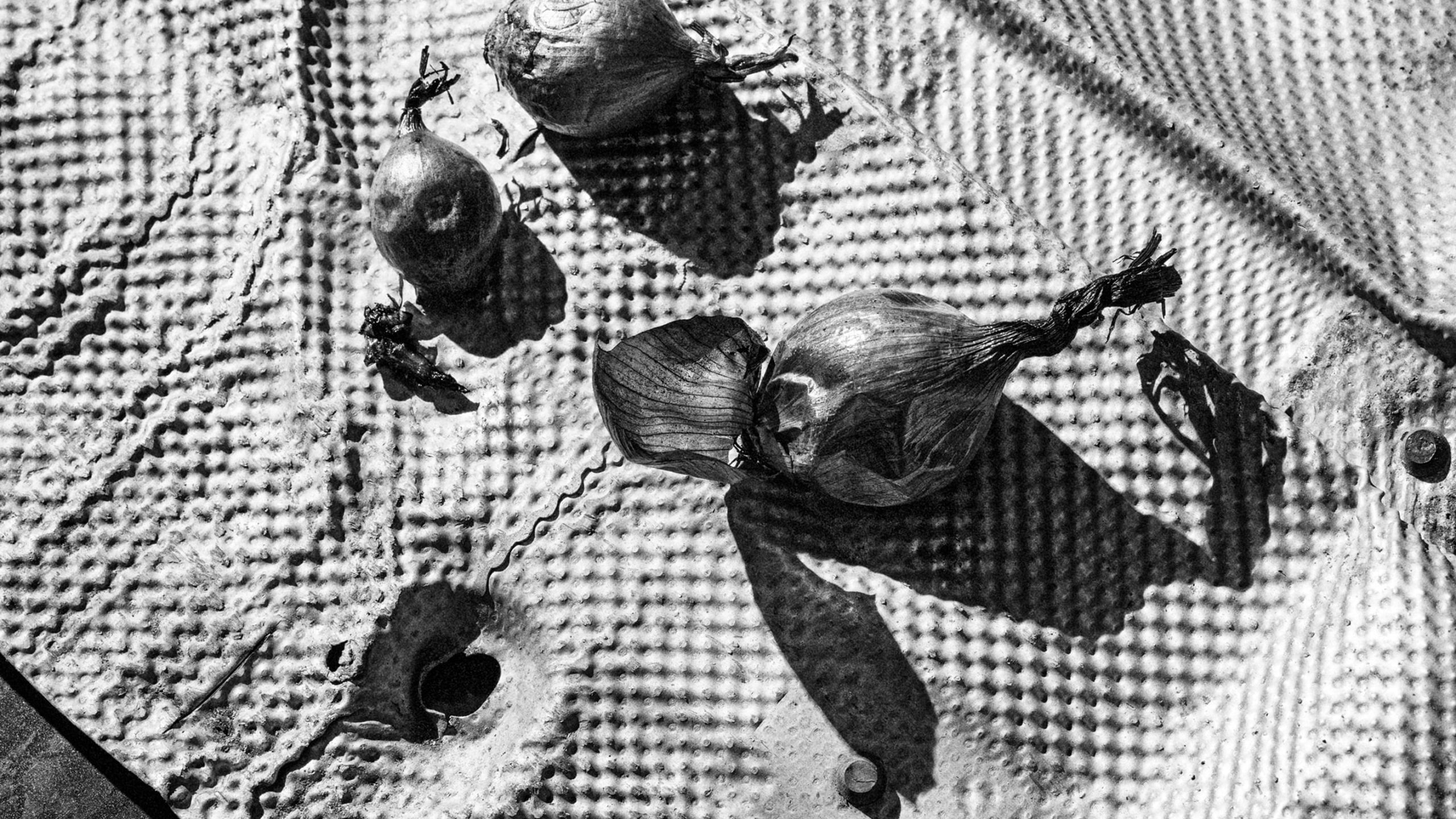 Black and white overhead shot of dried onions on a textured metal surface, part of Sitko Pizza's brand identity by Werklig.