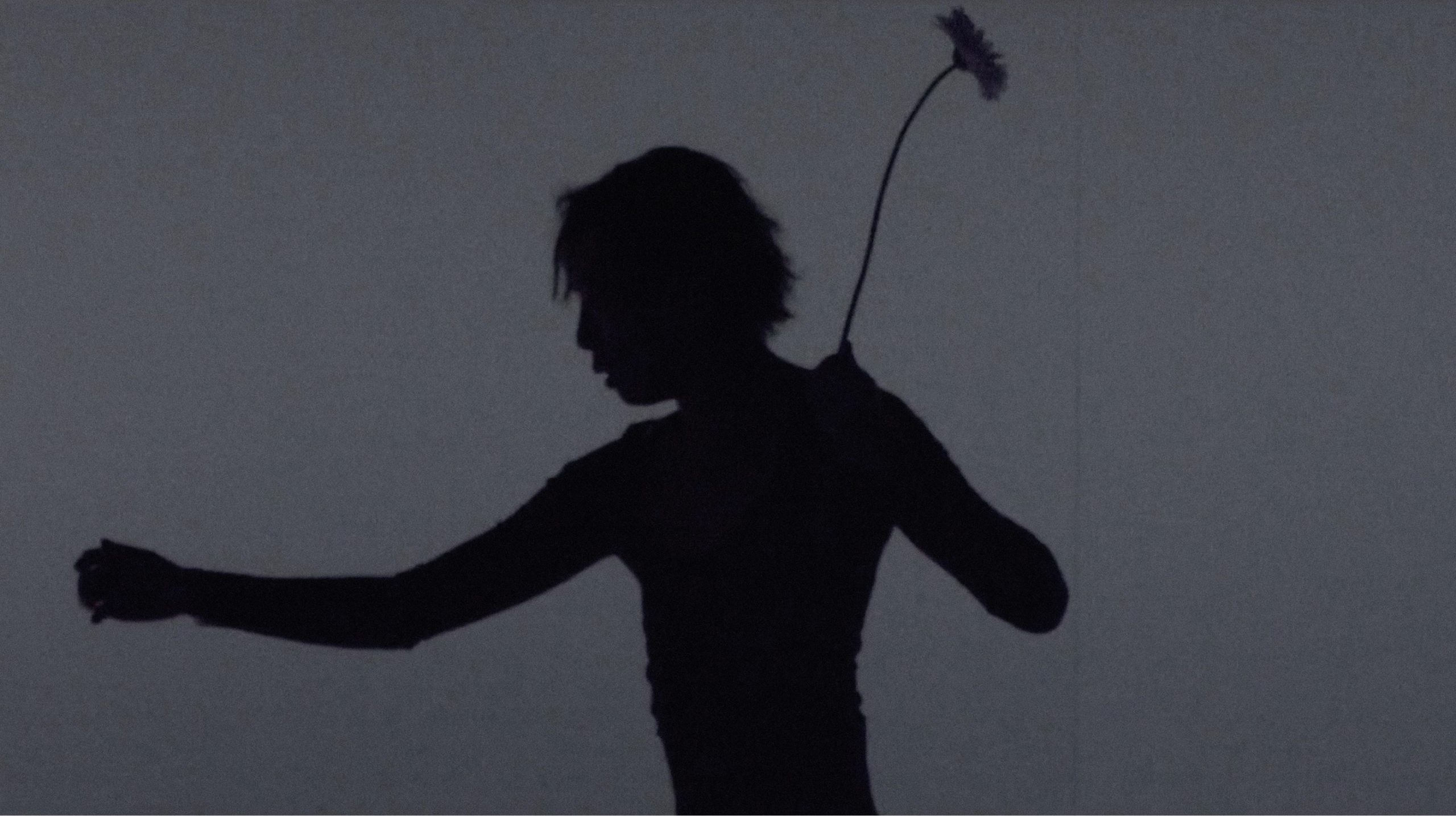 Silhouette of a dancer holding a flower against a grey background, from Tero Saarinen Company's visual identity.