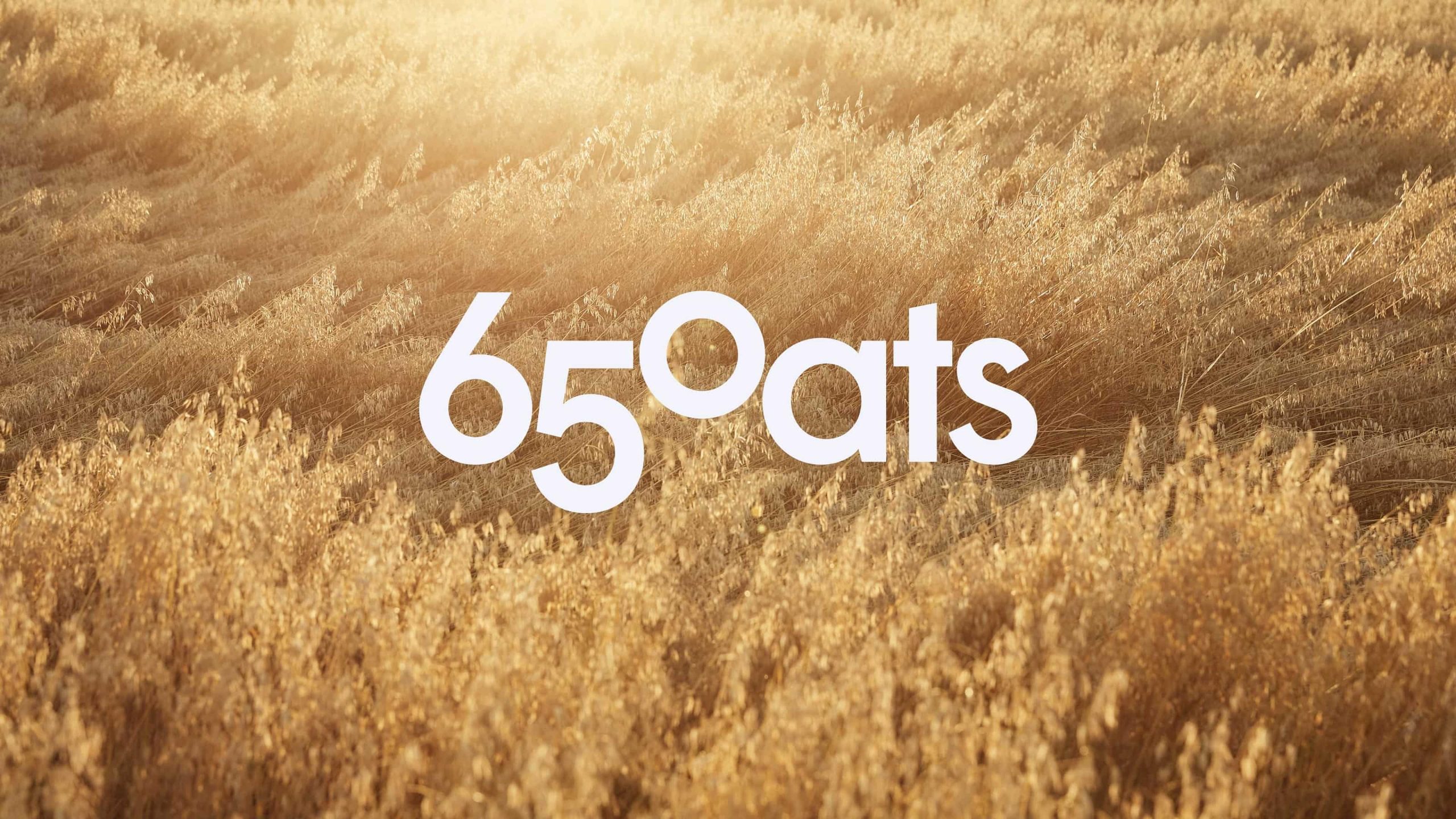 65 Oats brand logo in white typography over a sunlit golden oat field.