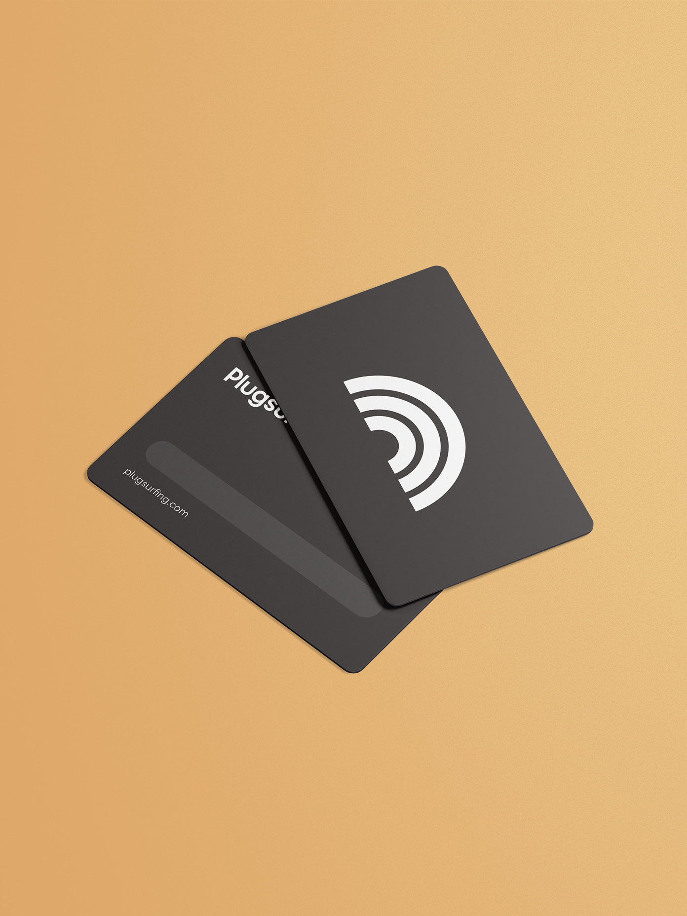 Two dark grey Plugsurfing cards showing front logo design and back magnetic stripe, photographed on warm amber background.