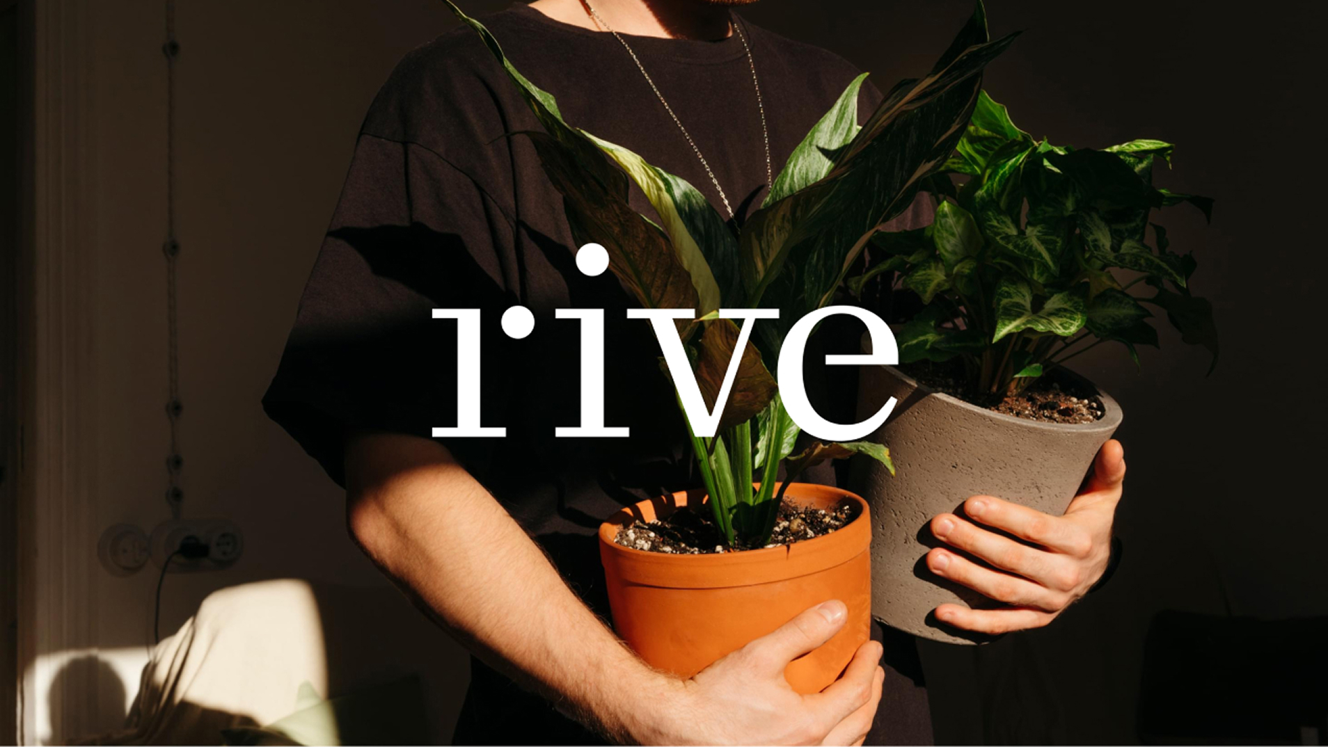 Person holding two potted houseplants with Rive brand logo overlaid in white serif type.