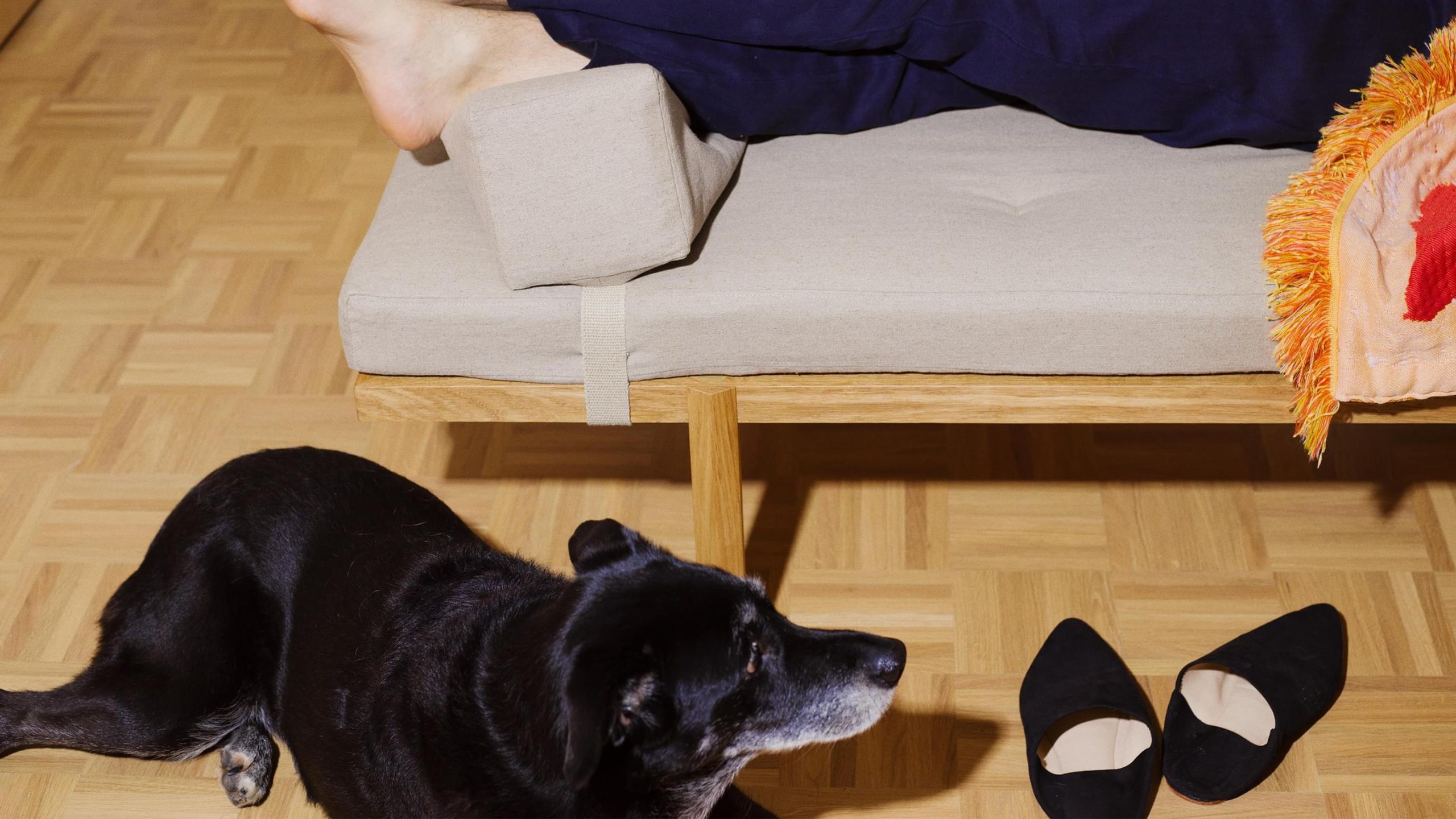 Black dog resting on parquet floor beside a daybed with a bare foot propped on a cushion, black slippers nearby.