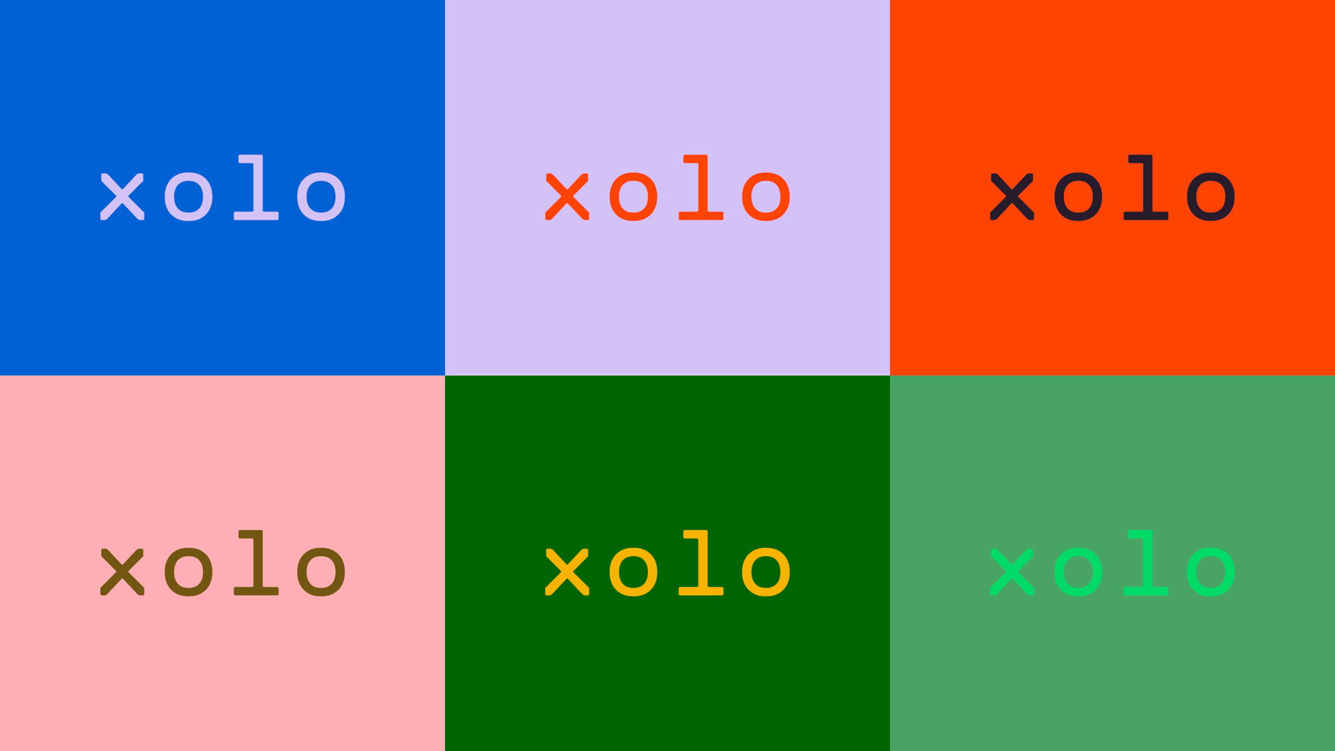 Xolo logo displayed in six color combinations across blue, lavender, orange, pink, dark green, and mint backgrounds.