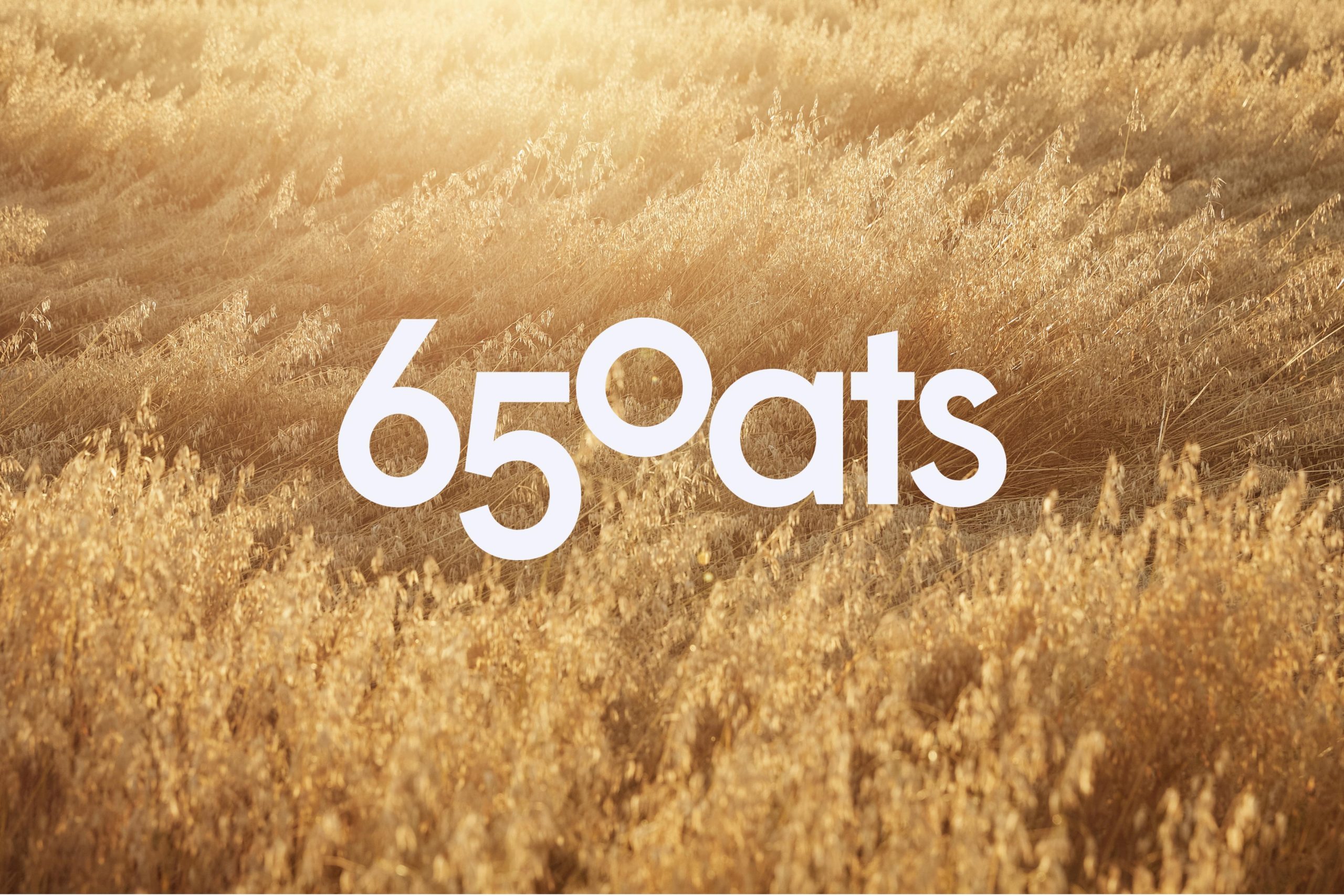 The 65°oats logo in white over a field of golden oats